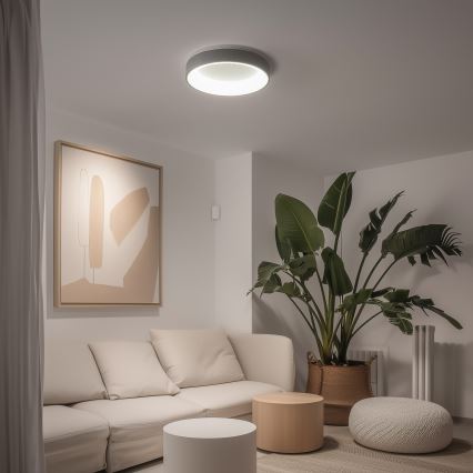 Brilagi - LED stropna svetilka FALCON LED/40W/230V 3000-6500K premer 45 cm siva s funkcijo zatemnitve + daljinski upravljalnik