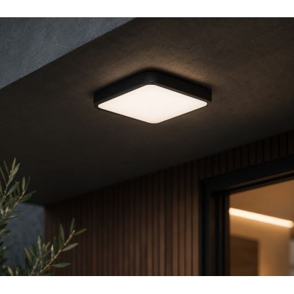 BRILAGI - stropna LED svetilka za kopalnico ZENNA LED/12W/230V 24x24 cm IP44 črna
