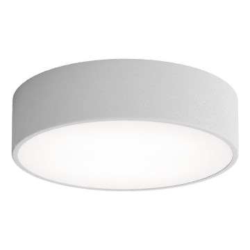Brilagi - Stropna svetilka CLARE 2xE27/24W/230V pr. 30 cm siva