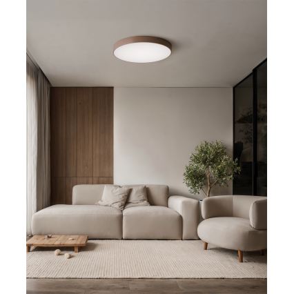 BRILAGI - Stropna svetilka CLARE 4xE27/40W/230V Ø 50 cm rjava