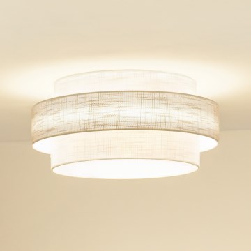 Brilagi - Stropna svetilka DOVER SPACE LED/12W/230V pr. 50 cm 3000K/4000K/6400K siva/krem barva