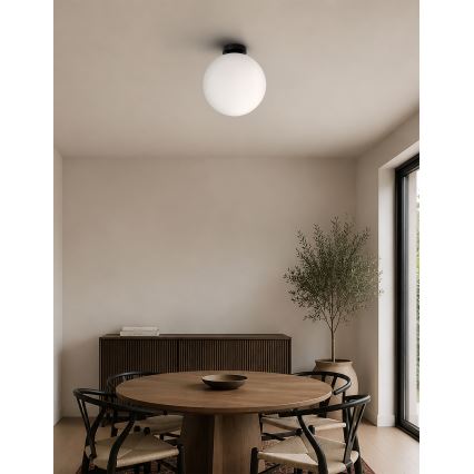 BRILAGI - Stropna svetilka POLOS 1xE27/40W/230V premer 30 cm črna