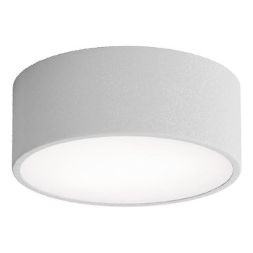 Brilagi - Stropna svetilka s senzorjem CLARE 1xE27/24W/230V pr. 20 cm siva