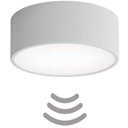 Brilagi - Stropna svetilka s senzorjem CLARE 1xE27/24W/230V pr. 20 cm siva