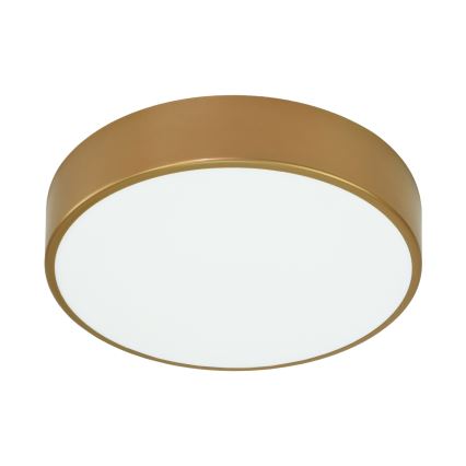 Brilagi - Stropna svetilka s senzorjem CLARE 3xE27/24W/230V pr. 40 cm zlata
