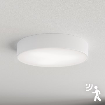 Brilagi - Stropna svetilka s senzorjem CLARE 3xE27/40W/230V pr. 40 cm bela