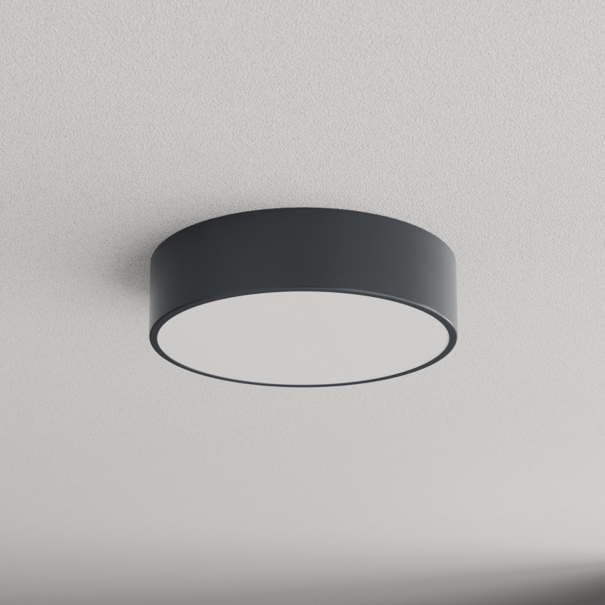 Brilagi - Stropna svetilka za kopalnico CLARE 2xE27/24W/230V, premer 30 cm, antracit, IP54