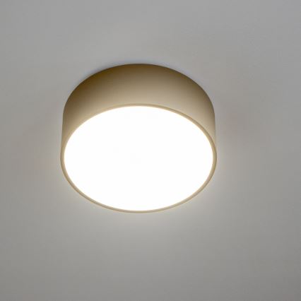 Brilagi - stropna svetilka za kopalnico POOL 2xE27/15W/230V, premer 30 cm, IP54, bežna
