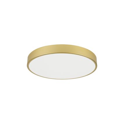 Brilagi - stropno LED svetilo POOL LED/60W/230V 3000/4000/6000K, premer 60 cm, zlato