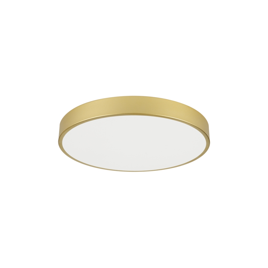 Brilagi - stropno LED svetilo POOL LED/60W/230V 3000/4000/6000K, premer 60 cm, zlato