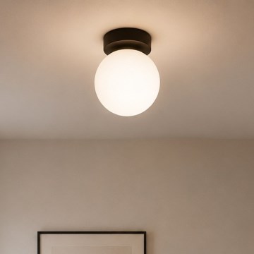 Brilagi - Točkovna svetilka MILO 1xE27/60W/230V črna
