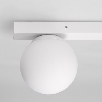 Brilagi - Točkovna svetilka SELE BALL 1xGU10/30W/230V + 1xG9/10W bela