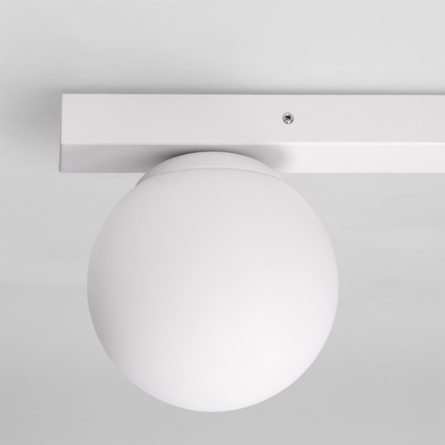 Brilagi - Točkovna svetilka SELE BALL 1xGU10/30W/230V + 1xG9/10W bela