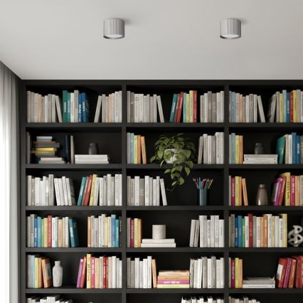 Brilagi - Točkovna svetilka STRIPY 1xGX53/15W/230V srebrna