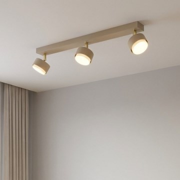 Brilagi - Točkovno svetilo 3xGX53/12W/230V bež