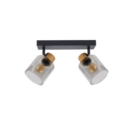 Brilagi - Točkovno svetilo HYGGE 2xE14/15W/230V črna/dimna