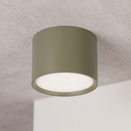 BRILAGI - Točkovno svetilo SMOOTH 1xGX53/15W/230V 60x82 mm temno zeleno
