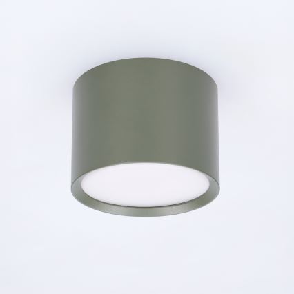 BRILAGI - Točkovno svetilo SMOOTH 1xGX53/15W/230V 60x82 mm temno zeleno