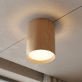 BRILAGI - Točkovno svetilo SMOOTH LONG 1xGX53/15W/230V 100x82 mm dekor hrasta
