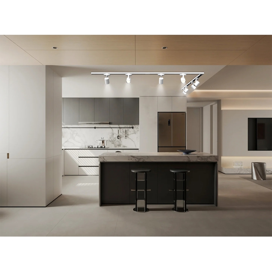 Brilagi - Točkovno svetilo v tirnem sistemu HUSKY 8xGU10/10W/230V bela