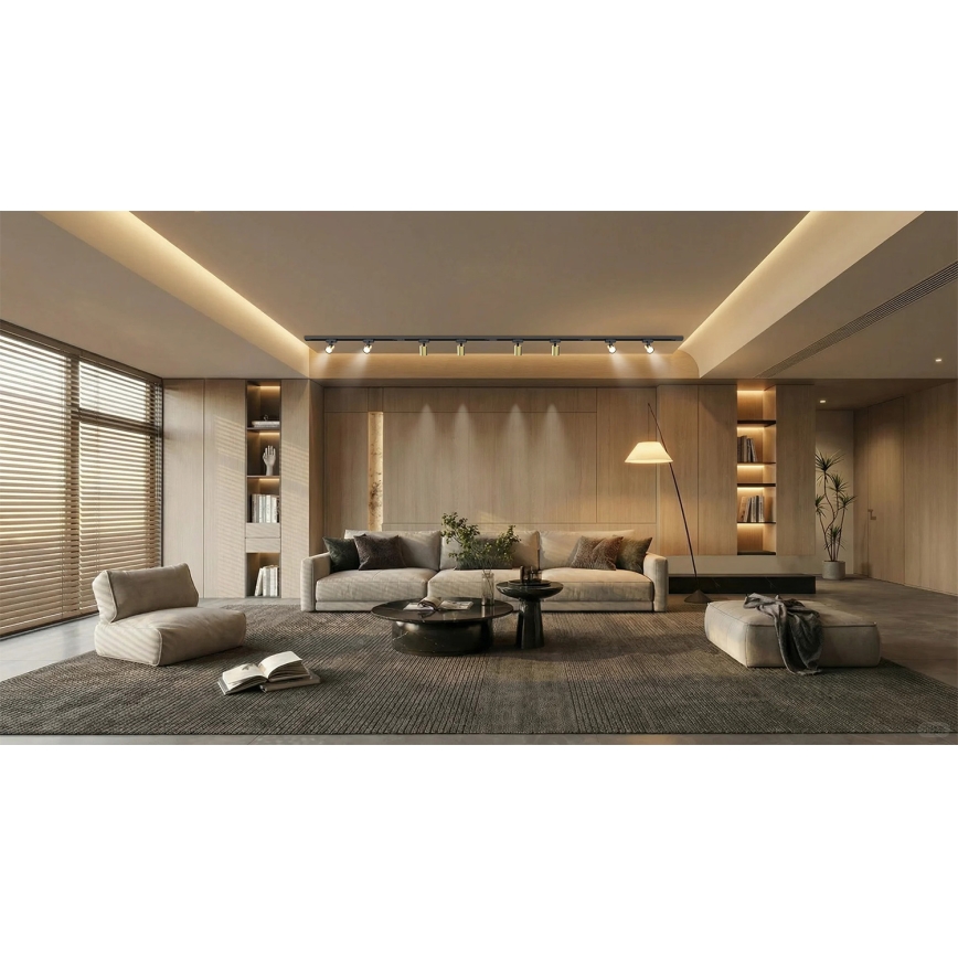 Brilagi - Točkovno svetilo v tirnem sistemu HUSKY 8xGU10/10W/230V črna/zlata