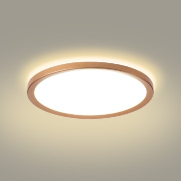 Brilagi - ULTRA SLIM LED stropna svetilka za kopalnico, LED/24W/230V, premer 42 cm, barva rožnatega zlata, IP54