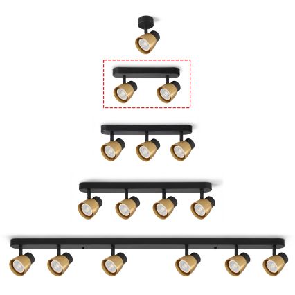 Brilagi - usmerjena stropna svetilka NUGGET 2xGU10/30W/230V črna/zlata