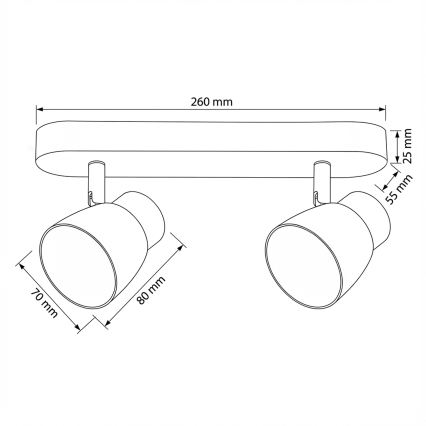 Brilagi - usmerjena stropna svetilka NUGGET 2xGU10/30W/230V črna/zlata