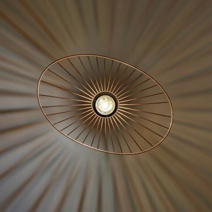 Brilagi - Viseči LED lestenec na jeklenem lanku CERIA WIRE 1xE27/40W/230V 40x56 cm bronz