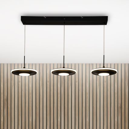 Brilagi - Viseči LED lestenec na kablu VERANO 3xLED/15W/230V