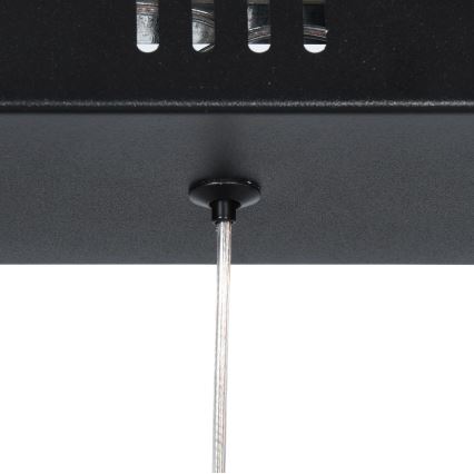 Brilagi - Viseči LED lestenec na kablu VERANO 3xLED/15W/230V