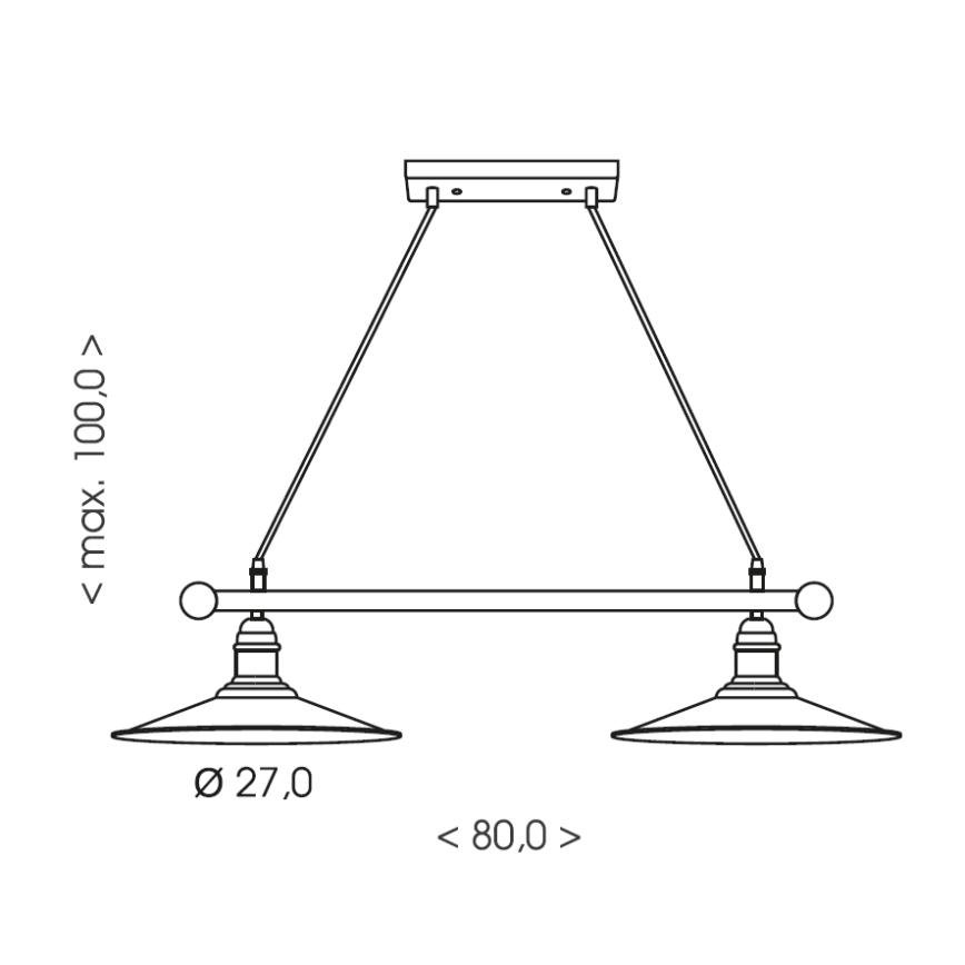 Brilagi - Viseči lestenec FORGE na vrvici 2xE27/60W/230V, rjav