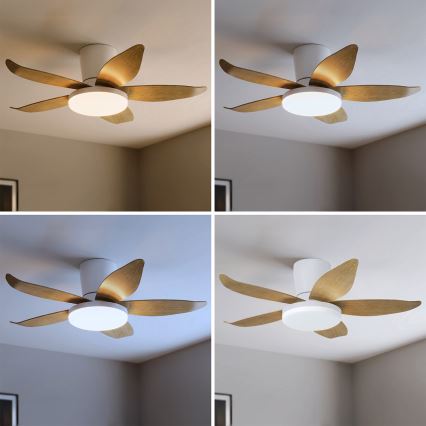 Brilagi - LED zatemljiv stropni ventilator LED/32W/230V 3000-6500K premer 95 cm bela/rjava + daljinski upravljalnik