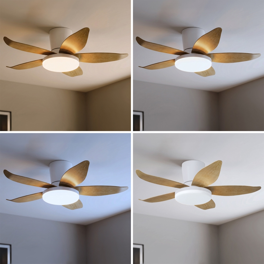 Brilagi - LED zatemljiv stropni ventilator LED/32W/230V 3000-6500K premer 95 cm bela/rjava + daljinski upravljalnik