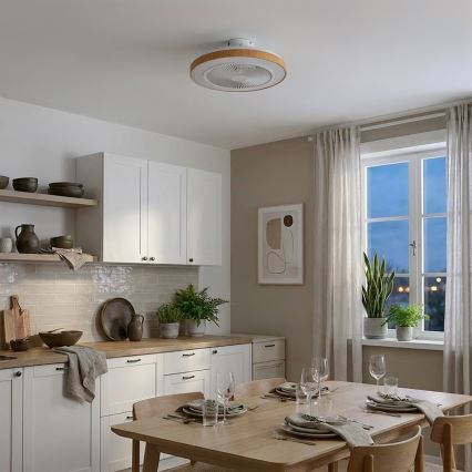 Brilagi - LED stropni ventilator z zatemnitvijo LED/38W/230V 50 cm bela/rjava + daljinski upravljalnik