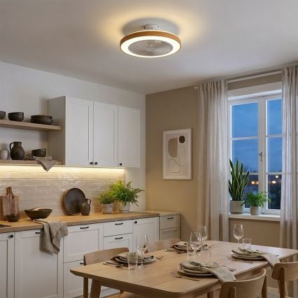 Brilagi - LED stropni ventilator z zatemnitvijo LED/38W/230V 50 cm bela/rjava + daljinski upravljalnik