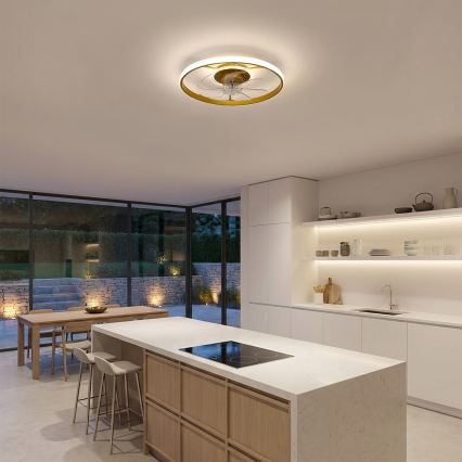 Brilagi - Zatemljiv LED stropni ventilator LED/66W/230V 3000-6500K premer 55 cm bela/zlata + daljinski upravljalnik