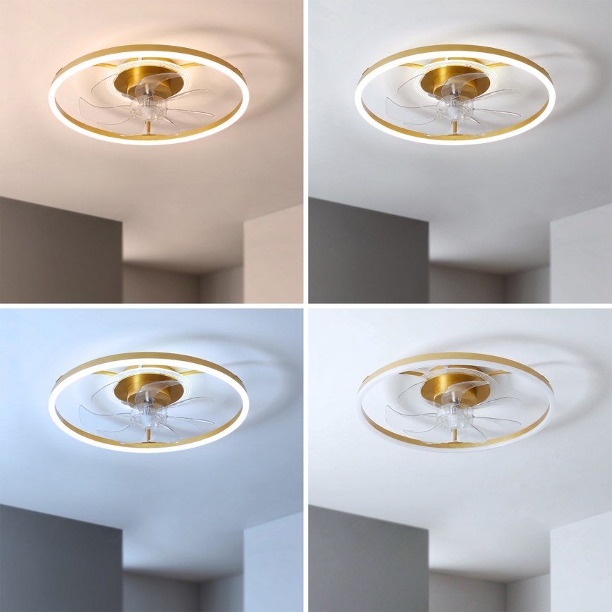 Brilagi - LED zatemljiv stropni ventilator LED/66W/230V 55 cm bela/zlata + daljinski upravljalnik