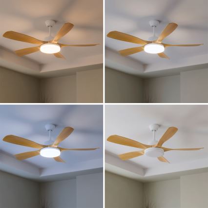 Brilagi - LED zatemljiv stropni ventilator 34 W/230 V, 3000–6500 K, premer 132 cm, bela/rjava + daljinski upravljalnik