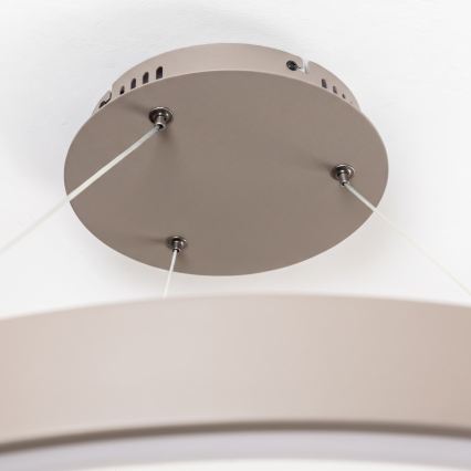 BRILAGI - LED Zatemnljiv lestenec na kablu FALCON II LED/108W/230V 3000-6500K premer 80 cm bež + z daljinskim upravljalnikom