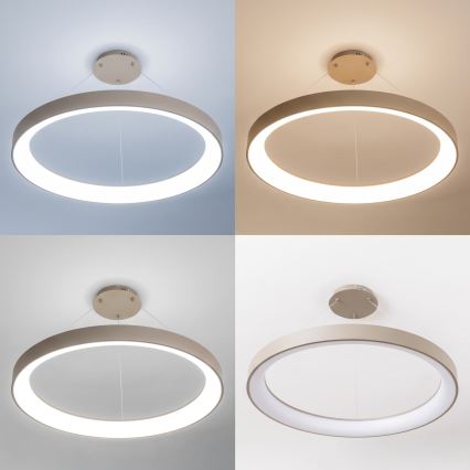 BRILAGI - LED Zatemnljiv lestenec na kablu FALCON II LED/108W/230V 3000-6500K premer 80 cm bež + z daljinskim upravljalnikom