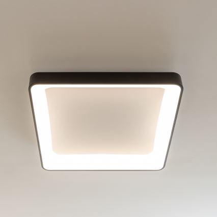 Brilagi - LED stropno svetilo FALCON II z možnostjo zatemnitve LED/125W/230V 3000-6500K 60x60 cm črno + daljinski upravljalnik