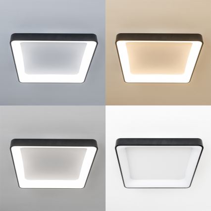 Brilagi - LED stropno svetilo FALCON II z možnostjo zatemnitve LED/125W/230V 3000-6500K 60x60 cm črno + daljinski upravljalnik
