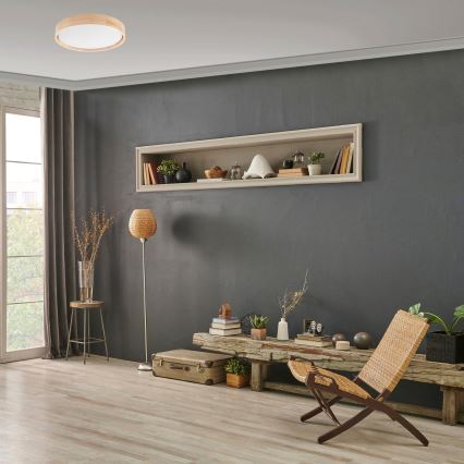 Brilagi - Zatemnljiva stropna LED svetilka MANAROLA LED/24W/230V, premer 42 cm, 3000-6500K + daljinski upravljalnik