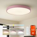 Brilagi - Zatemnjevalna LED svetilka POOL SMART LED/100W/230V, premer 80 cm, 3000-6000K, Wi-Fi Tuya + daljinski upravljalnik, rožnata