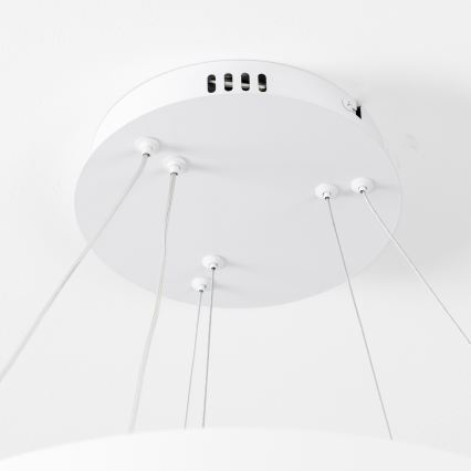 Brilagi - zatemnjiv LED lestenec na kablu FALCON SLIM LED/68W/230V 3000-6500K, premer 50 cm, bela + daljinski upravljalnik