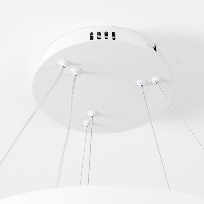 Brilagi - zatemnjiv LED lestenec na kablu FALCON SLIM LED/68W/230V 3000-6500K, premer 50 cm, bela + daljinski upravljalnik