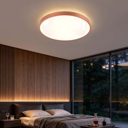 BRILAGI - LED zatemnjiva stropna svetilka GLASS POOL DOUBLE LED/80W/230V Ø 60 cm bakrena + daljinski upravljalnik