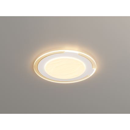 Brilagi - LED stropna svetilka z možnostjo zatemnitve ORELIS LED/80W/230V 3000-6000K premer 50 cm + daljinski upravljalnik