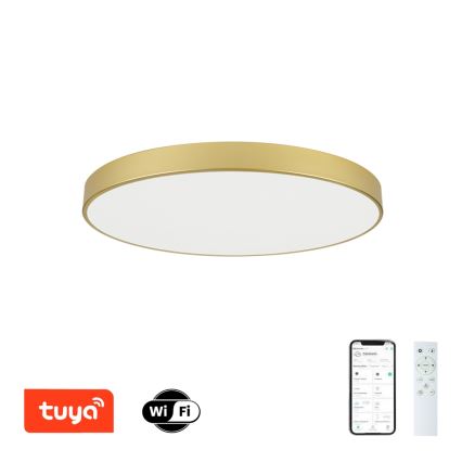 Brilagi - LED stropna svetilka POOL SMART z možnostjo zatemnitve LED/100W/230V 3000-6000K 80 cm zlata Wi-Fi Tuya + daljinski upravljalnik